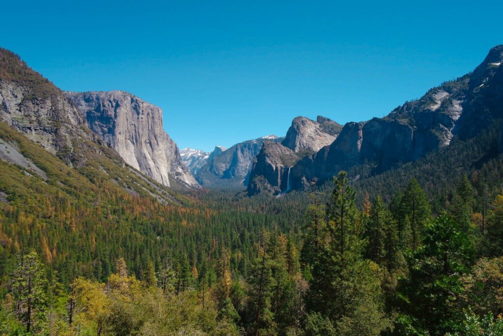 How to Study in the USA Without Breaking the Bank in 2026 green trees near mountain under blue sky during daytime